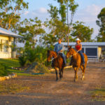 Marlow Country display home, horses and tractor