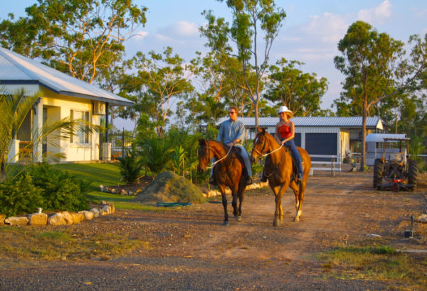 Marlow Country display home, horses and tractor