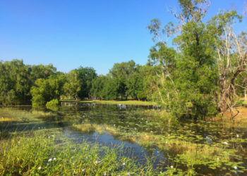 Marlow Lagoon